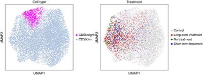 HLA and KIR genetic association and NK cells in anti-NMDAR encephalitis